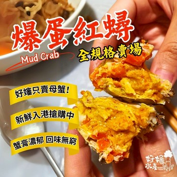 【好嬸水產】爆蛋熟凍紅蟳｜150-350公克｜蟹黃大隻紅蟳進口紅蟳爆蛋紅蟳抱蛋紅蟳宅配海鮮冷凍水產熟凍螃蟹膏火鍋食材熬湯
