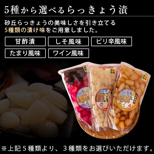 砂丘らっきょう漬け 鳥取県福部町産 選べる3パックセット（大サイズ） 無添加 国産 送料無料（北海道・沖縄を除く）