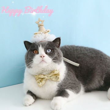 [24時熱賣]寵物生日服飾 寵物貓咪狗兔生日蕾絲五角星立體帽子亮片領結蝴蝶結派對套裝禮盒 Q8GH