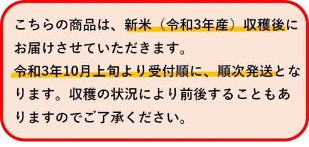 r05-62-2JA＜令和5年産＞魚沼産コシヒカリ定期便 5kg×6回（隔月お届け）（JA越後おぢや）