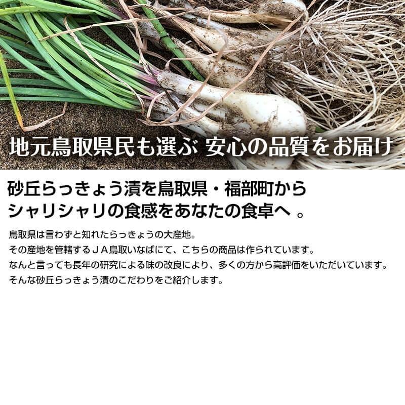 鳥取産 らっきょうの無添加 甘酢漬け 130g  1パック