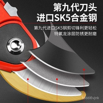 【強力園藝剪】剪枝剪刀 修枝剪 果樹修剪 樹枝剪 強力花剪 園藝園林花藝剪子 果園剪刀 園藝剪刀