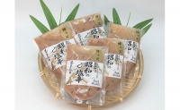 塩辛 エコパック 昭和の塩辛 100g×5袋 セット 珍味 無添加 海産物 海鮮 魚介類 魚介 いか イカ いか塩辛 詰め合わせ ご飯のお供 おつまみ おつまみセット 加工食品 惣菜 冷凍 ※ご入金確認後 3ヶ月以内の発送になります。