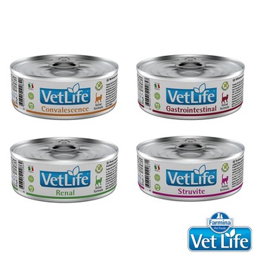 Farmina法米納 處方系列 貓用主食罐 85g 12罐 處方罐 貓罐頭