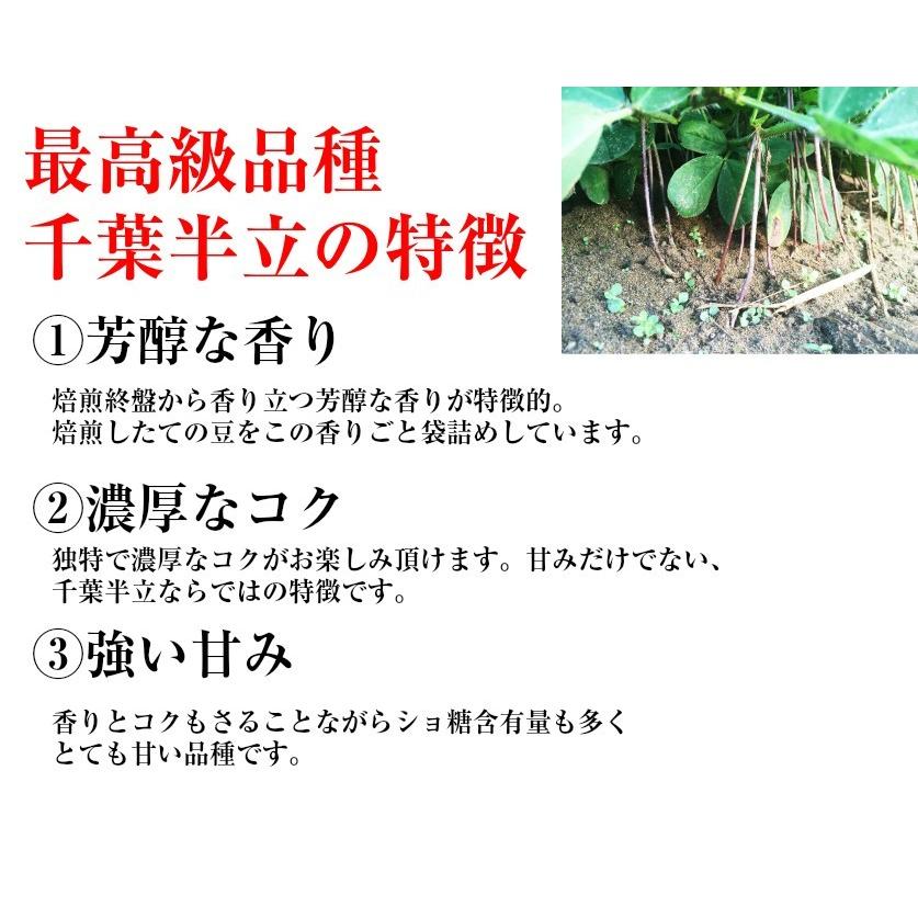 千葉県産落花生 千葉半立 殻付き 令和5年産 1kg (500g×2袋)　お中元　お歳暮