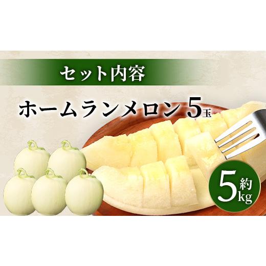 ふるさと納税 熊本県 多良木町 熊本県産 ホームランメロン 5玉 約5kg 【 ご予約 令和6年 メロン フルーツ 果物 熊本 多…