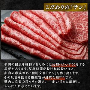 ふるさと納税  近江牛 すき焼き しゃぶしゃぶ 赤身 500g 3ヶ月 冷凍 近江牛 定期便 和牛 定期便 牛肉 定期便 肉 定期便 すき焼き.. 滋賀県竜王町