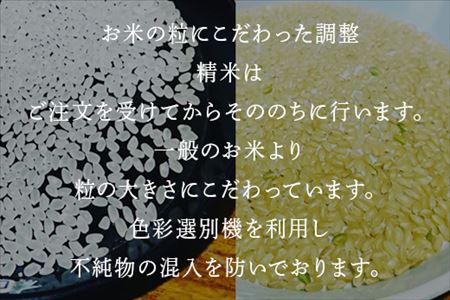 米の食味ランキング3年連続「特A」評価！ 唐津産特別栽培 夢しずく 15kg