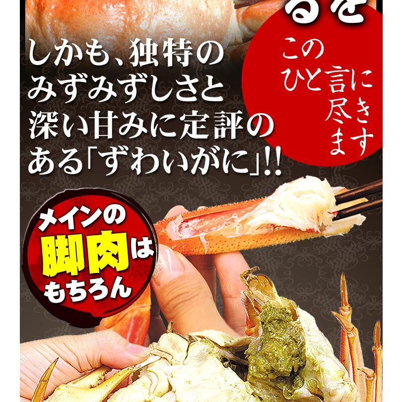 かに 3kg ボイルずわいがに 姿 大特価 メガ盛 6~8尾 蟹 ゆでがに 送料無料 冷凍便 食品