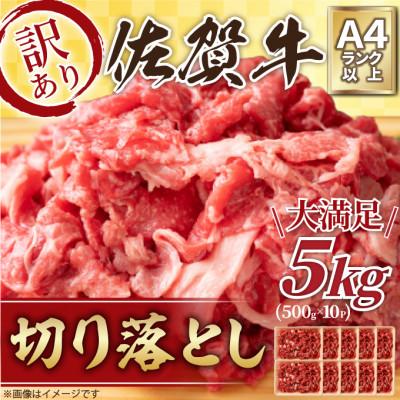 ふるさと納税 多久市 訳アリ!佐賀牛切り落とし　5kg(500g×10パック)(多久市)