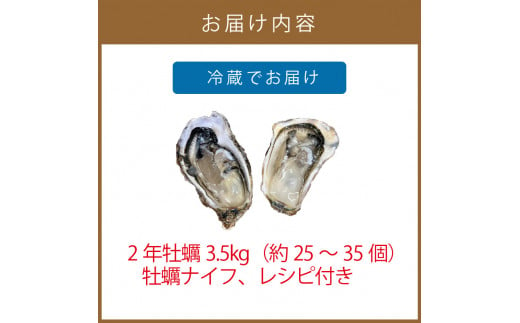 サロマ湖産2年牡蠣 3.5kg缶 約25～35個入 カキ 牡蠣 かき 3.5kg 3.5キロ 缶 サロマ湖産 BBQ 酒蒸し