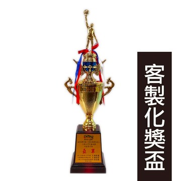 籃球獎盃 客製化獎盃 T007C/一個入(定900) 比賽獎盃 競賽獎盃 籃球獎座 冠軍獎盃 活動獎盃 訂製獎盃 運動獎盃【APP滿額下單10%點數(單一帳號最高5000點)】1/31止