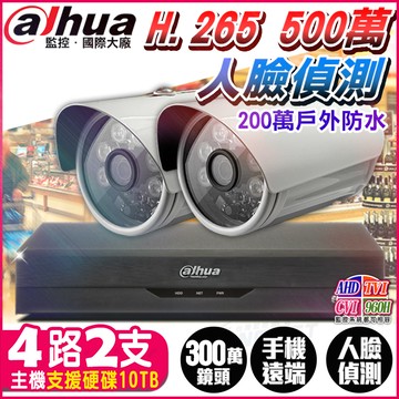 【帝網KingNet】大華 4路2支 1080P 紅外線夜視 H.265 監控套餐 5MP 500萬 主機