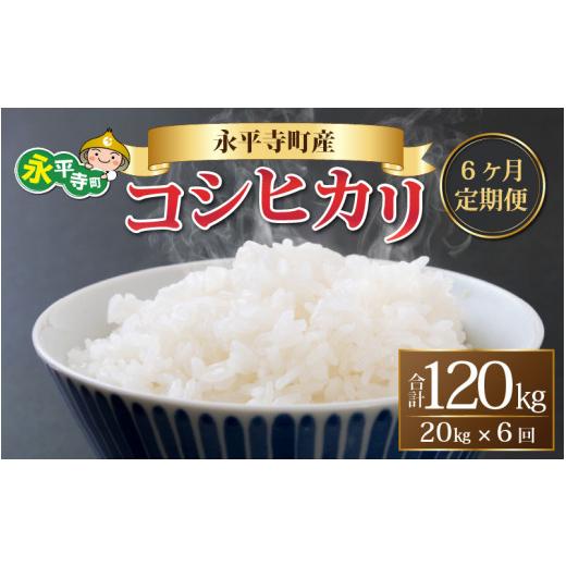 ふるさと納税 福井県 永平寺町  令和5年度産 永平寺町産 コシヒカリ 20kg×6ヶ月（計120kg） [L-033080]