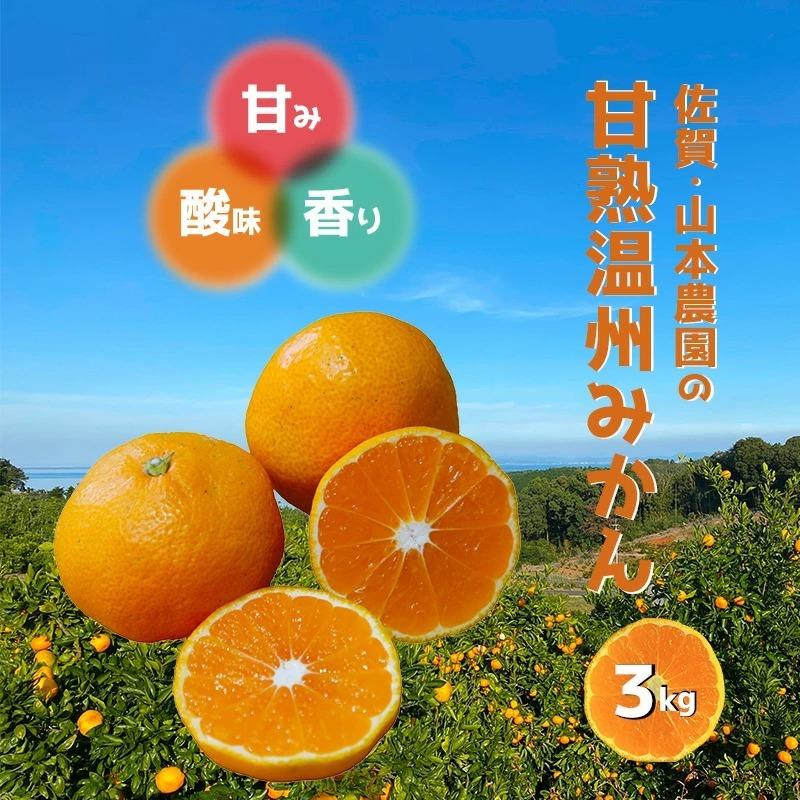 みかん 3kg 甘熟 温州 山本農園 産地直送 佐賀 国産 日本産 とれたて 新鮮 旬 甘い 酸味 香り ジューシー 有機 S〜2L