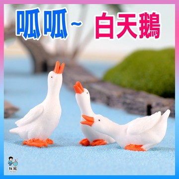 台灣免運出貨【萌萌白天鵝】小鴨|魚缸造景|水族造景|微景觀造景|水族|園藝造景|多肉|盆栽|造景|婚禮裝飾|辦公室小物