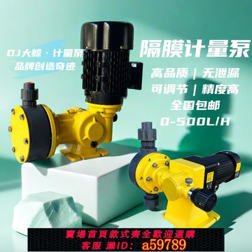 【全網低價 可打統編】大鯨隔膜計量泵污水廠加藥泵耐酸堿耐腐蝕不銹鋼機械隔膜泵環保泵