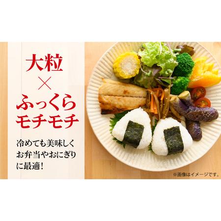 ふるさと納税 令和5年産 さがびより 白米 計30kg（5kg×1袋×6回） 佐賀県 株式会社森光商店[41ACB.. 佐賀県