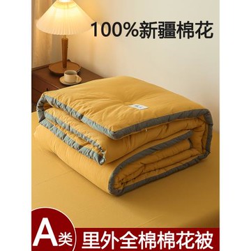 (免運)全棉新疆棉花被子冬被加厚保暖純棉被褥春秋冬季棉被芯空調被夏被