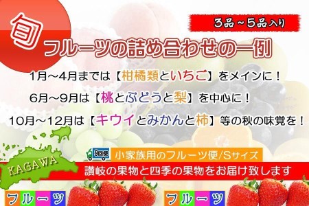  フルーツ セット 定期便 約3 ～ 5品 × 9ヶ月 ｜産直あきんど 香川産 四季のフルーツ 創業100年