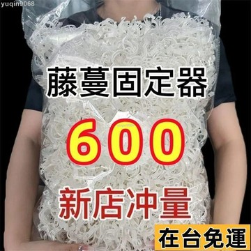 🌱台灣出庫🌱 黃瓜西紅柿豆角爬藤枝條固定器綠植蔬菜捆綁紮帶藤蔓專用園林工具 好物優選黃瓜西紅柿豆角爬藤枝條固