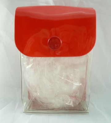 【震撼精品百貨】日本泰迪熊 透明化妝包 震撼日式精品百貨