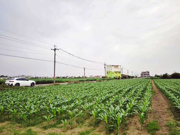 專下營市區旁｜都農＋特農｜台南市下營區下營段