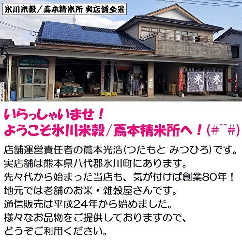 新米 令和5年 熊本県 天草地方産 こしひかり 特別栽培米 玄米 5kg