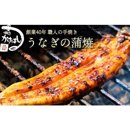 ふるさと納税 創業40年 全てが職人による手焼き うなぎの蒲焼き 定期便 福岡県小郡市