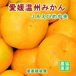 愛媛県の農協 JAえひめ中央 温州みかん 10kg優 贈答用 農協産地直送便でお届け