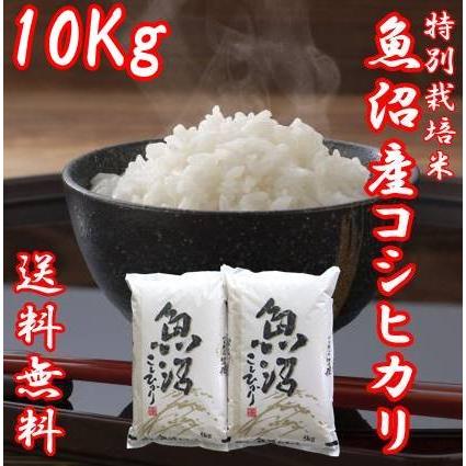 令和5年産 新米 魚沼産コシヒカリ 米 5kg 2袋 お米 10kg 白米 送料無料