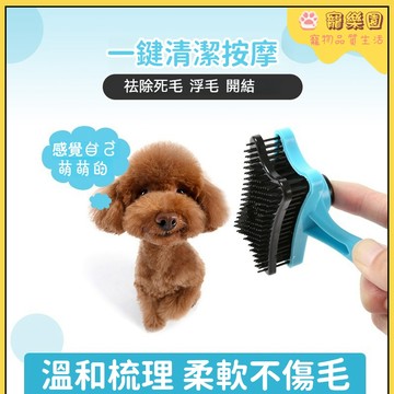 ⭐寵物梳子 狗狗梳子 貓咪梳毛 狗毛刷 中小型犬刷子 寵物梳毛針 貓咪針梳 寵物按摩梳 去浮毛 狗狗洗澡按摩刷 寵物用品