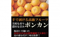 ぽんかん ポンカン 2kg 訳あり 産地直送 オレンジ フルーツ 果物