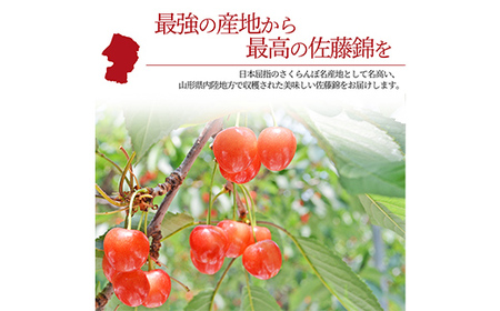 山形県産さくらんぼ 佐藤錦 秀品 L玉 1kg (500g×2パック) 化粧箱入り FSY-1092