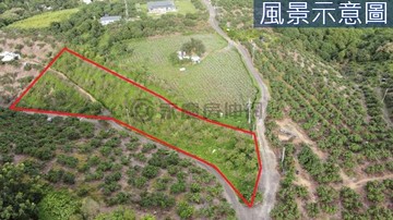 佛光山.休閒農牧用地｜高雄市大樹區田寮段