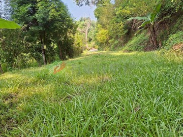 大坑圓環休閒農地｜有水有電｜超大平台｜台中市北屯區大華段