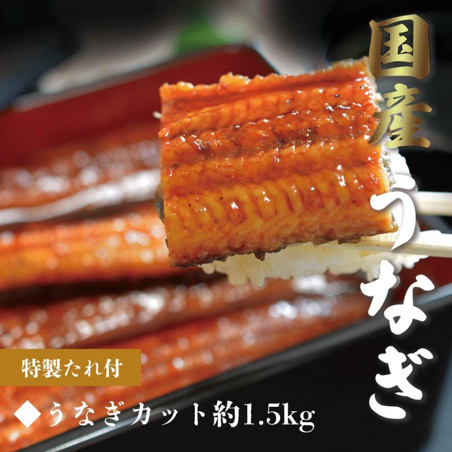 鰻 国産 蒲焼き (半身 約1.5kg) 敬老の日 ギフト うなぎの蒲焼