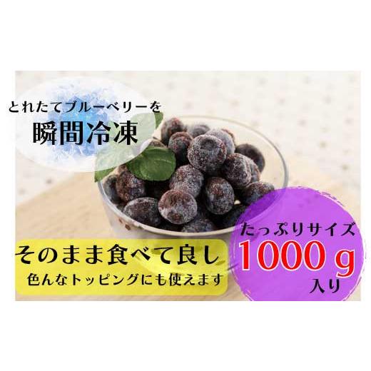 ふるさと納税 兵庫県 丹波市 ブルーベリー(冷凍）果実1kg×1袋
