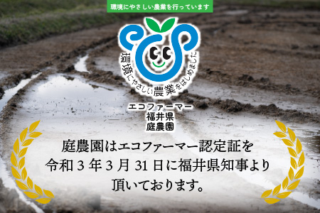 越前大野産 エコファーマー認定農家栽培 こしひかり 玄米 10kg × 3回 計30kg[E-001003_02]