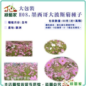 【綠藝家】大包裝H08.墨西哥大波斯菊(顏色綜合)種子80克(花卉種子)