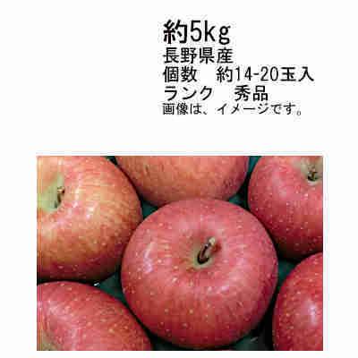 送料無料 サンふじ 長野 約5kg 約14-20玉入 秀品