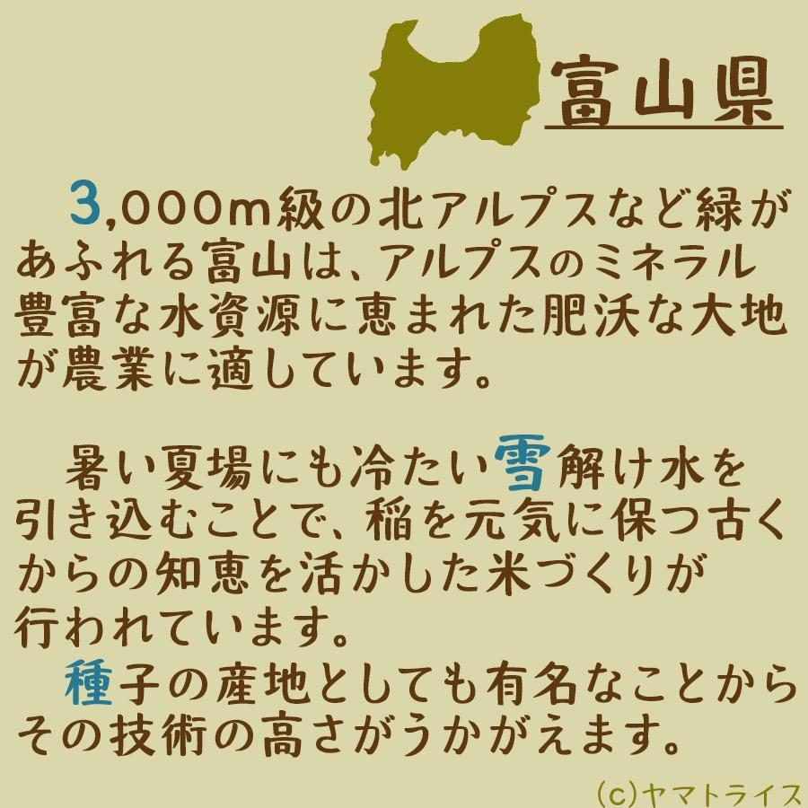 コシヒカリ 10kg 白米 富山県産 5kg×2 米 お米 令和5年産