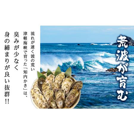 ふるさと納税 2024年発送 予約受付 牡蠣 殻付き 15個入り Sサイズ 牡蠣ナイフ付 かき カキ 貝 海鮮 BBQ ギフト ＜上磯郡漁業協.. 北海道知内町