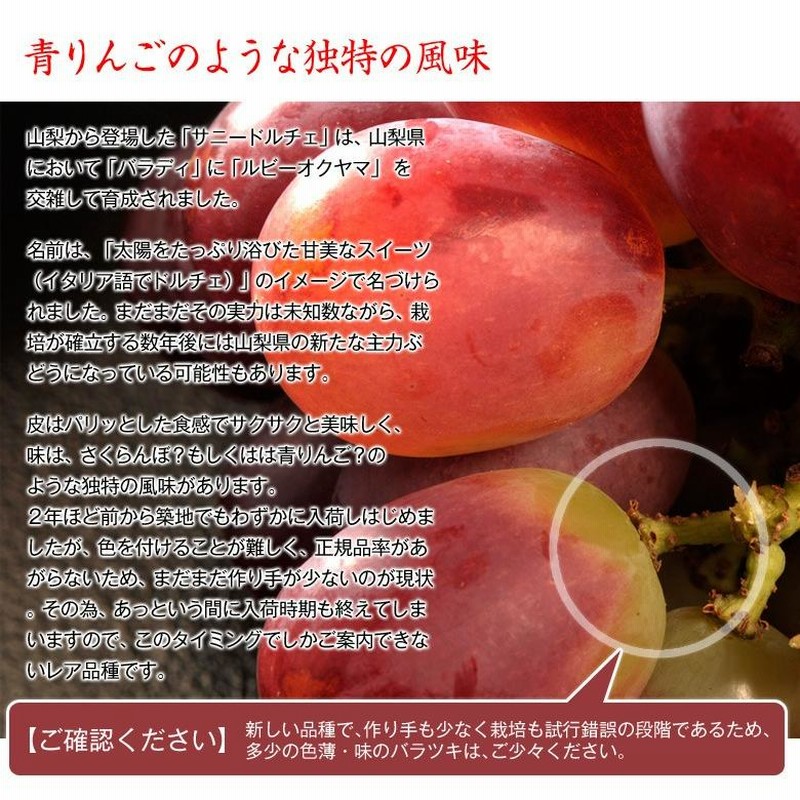 サニー様 確認用 （クラフトボス サニーコーヒー」新WEB－CM 夏の 