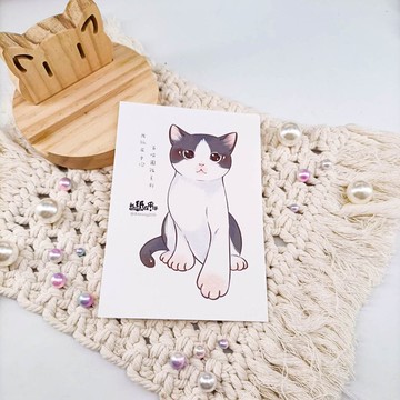 ME182-A36_我紙在乎你百喵圖鑑系列明信片_postcard