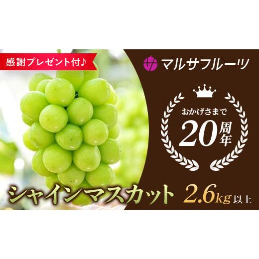 ふるさと納税 山梨県 笛吹市 ＜2024年先行予約＞ シャインマスカット 2.6kg以上 お楽しみ感謝品プレゼント付 山梨県 笛吹市 一宮産 朝採り 産地…