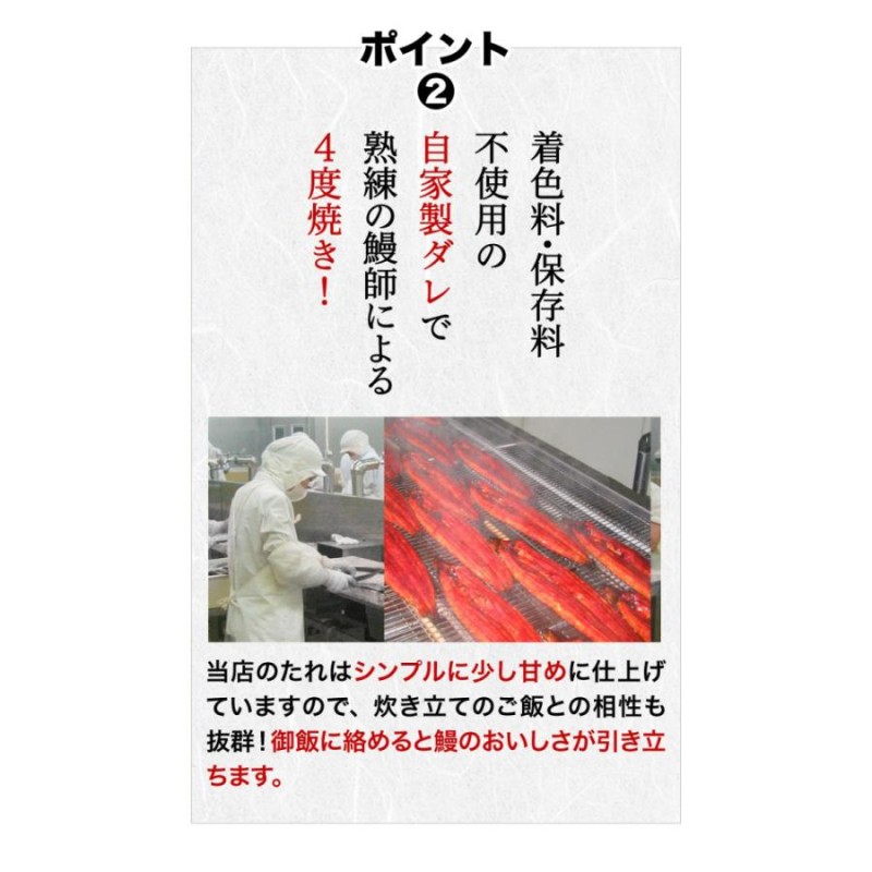 ポイント5倍 ギフト うなぎ 蒲焼き 国産 プレゼント 鹿児島産 ブランド