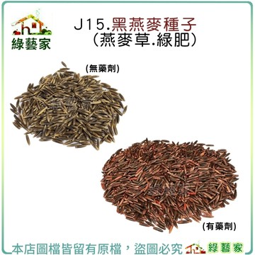 【綠藝家】( XL )J15.黑燕麥種子 ( 1公斤 )(燕麥草.綠肥)
