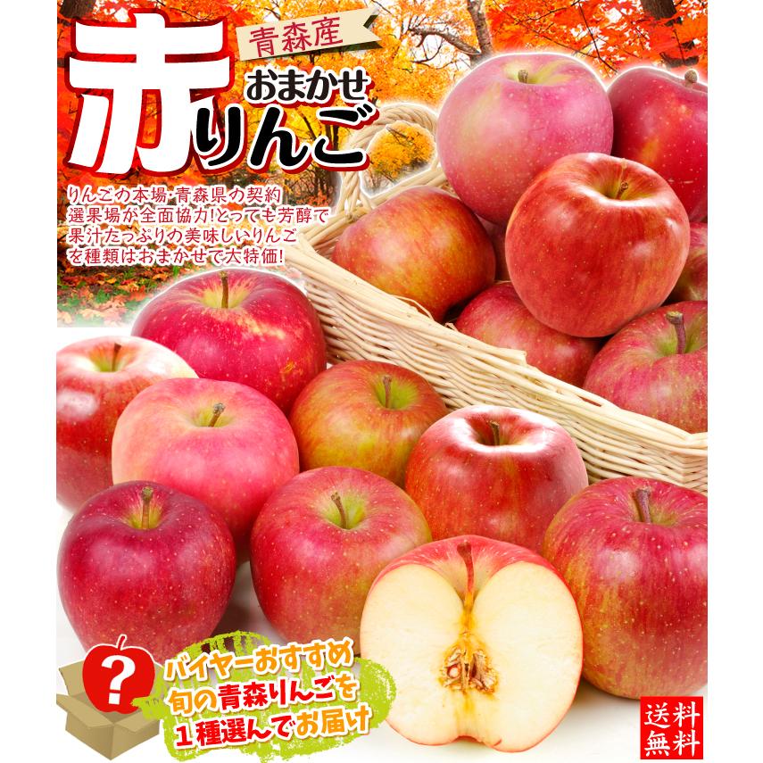 りんご 10kg おまかせ赤りんご 青森産 ご家庭用 送料無料 食品