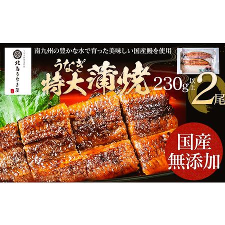 ふるさと納税 うなぎの特大蒲焼（2尾）230g以上×2尾　AE04 福岡県大木町